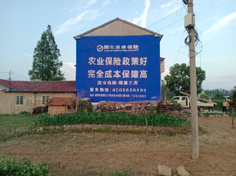 乐平墙体广告的优劣势你知道吗？